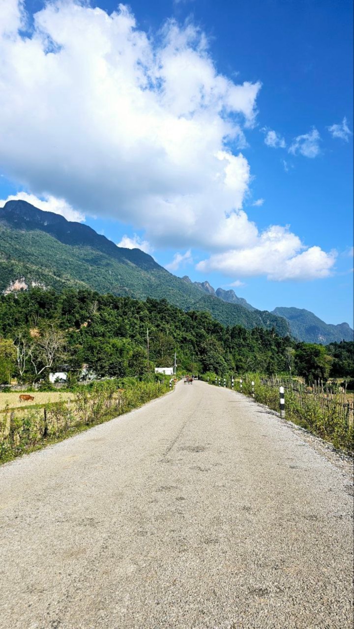 photo_2024-12-10 20.38.42.jpeg